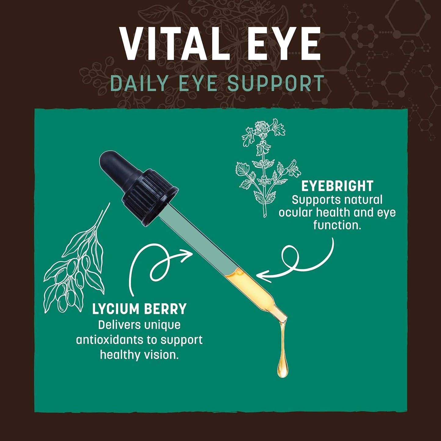 Earth Animal Herbal Remedies | Vital Eye | 2 fl oz