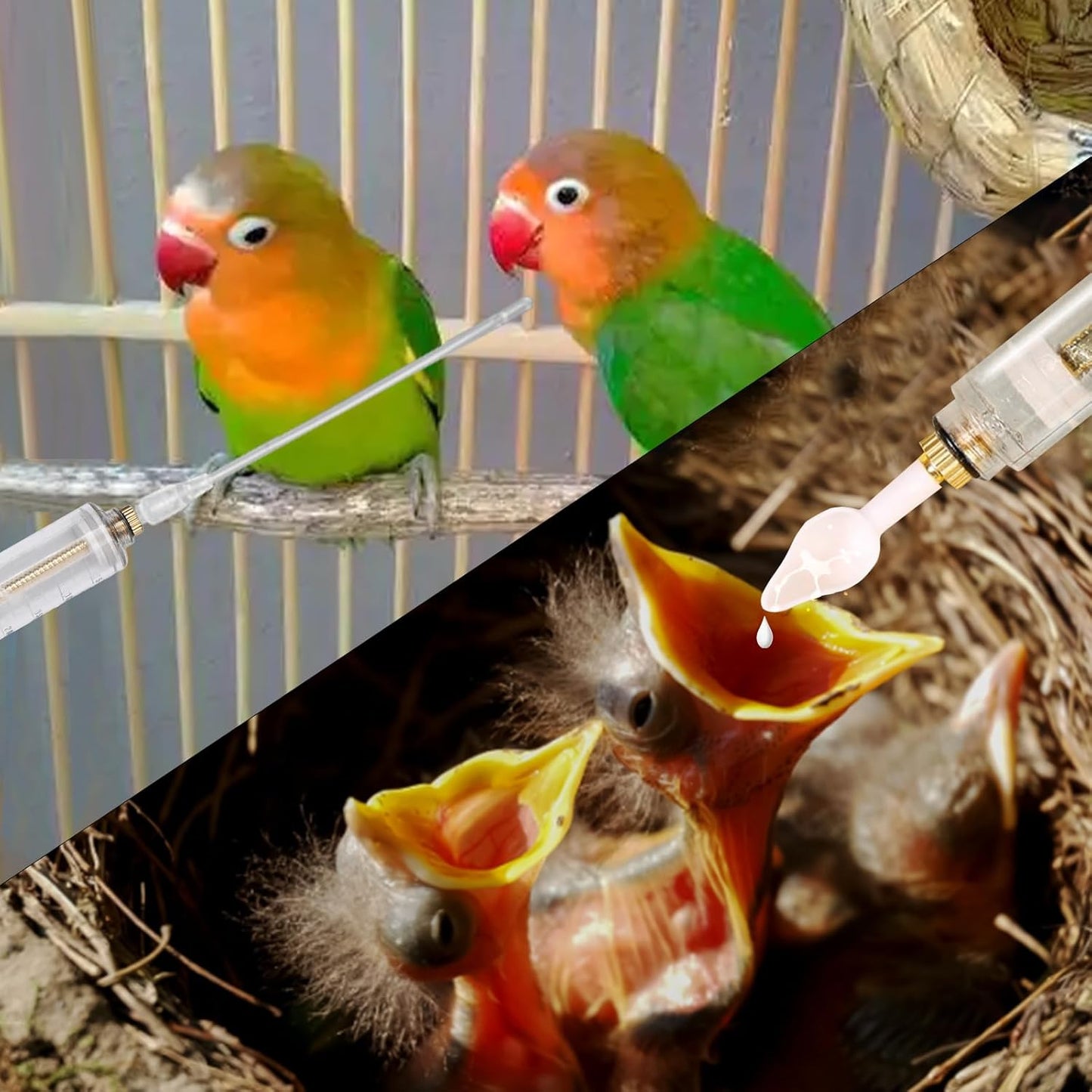 8 Pcs Bird Feeding Syringe Set Feeding Tubes for Baby Birds Parrot Hand Feeding Syringe Pet Syringe Feeding Tube Stainless Steel Metal Feeding Spoon Small Animals (30ml-Set of Eight)