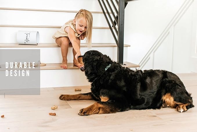 White Dog and Cat Treat Container with Easy to Open Bamboo Lid, 98 oz/12 cups