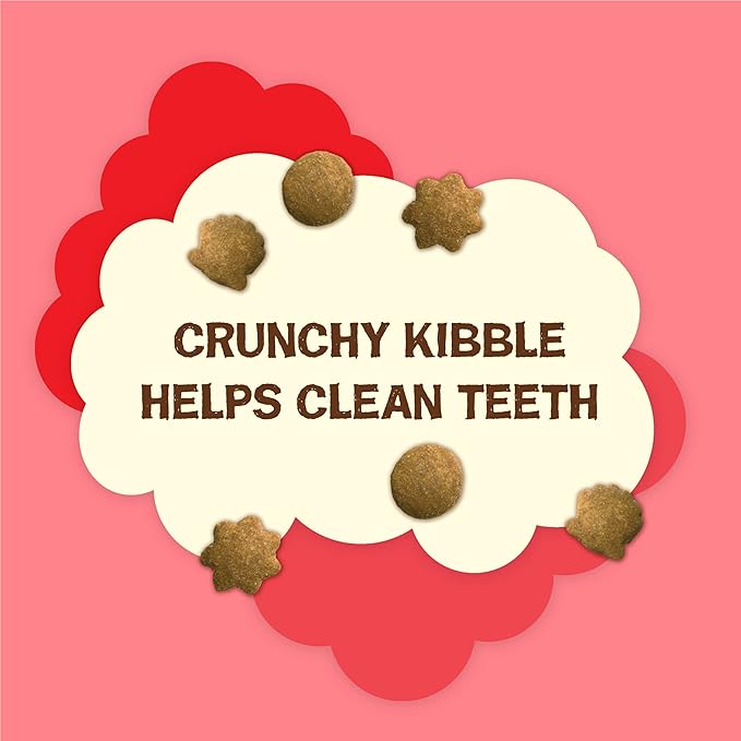 Friskies Purina Natural Cat Treats Party Mix Natural YUMS with Real Salmon and Added Vitamins, Minerals and Nutrients - 20 Oz. Canister (Pack of 2)