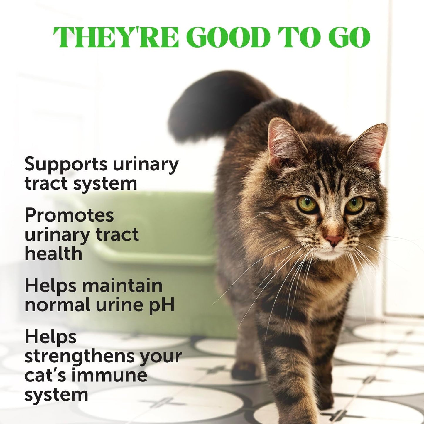 Cat Urinary Tract Health Crunchy & Creamy Chews - Promotes Healthy Digestion & Normal Bladder Function with Cranberry, Antioxidants, & Probiotics - Gut + Bladder Support Supplement (30 Day Supply)