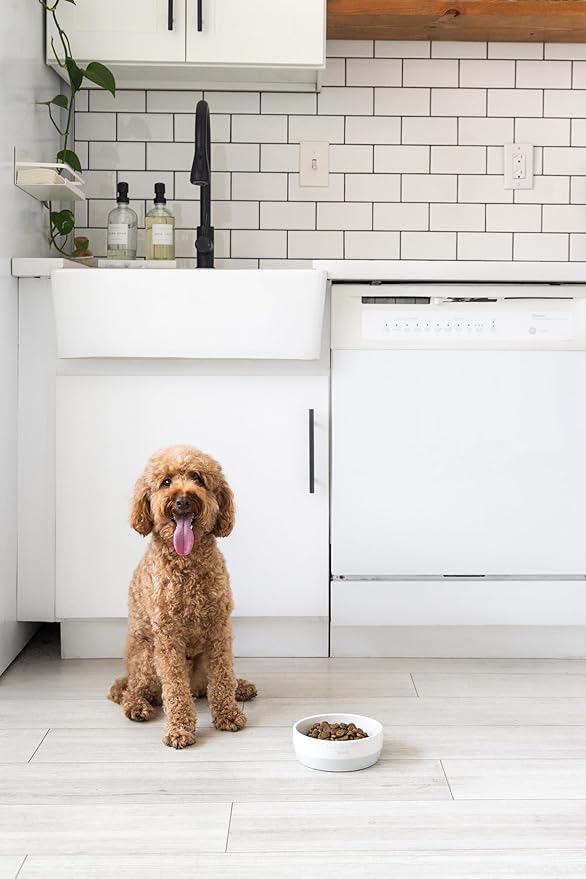 Pearhead Ceramic Bone Appétit Dog Bowl, Holds 2 Cups, Stoneware Food and Water Dish, Microwave and Dishwasher Safe, Small/Medium