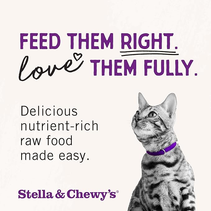 Stella & Chewy's Freeze-Dried Raw Cat Dinner Morsels - Premium Chicken Recipe with 98% Cage-Free Meat & Organs - Natural Grain-Free Cat & Kitten Food - Made in USA - 1 oz (Pack of 2)
