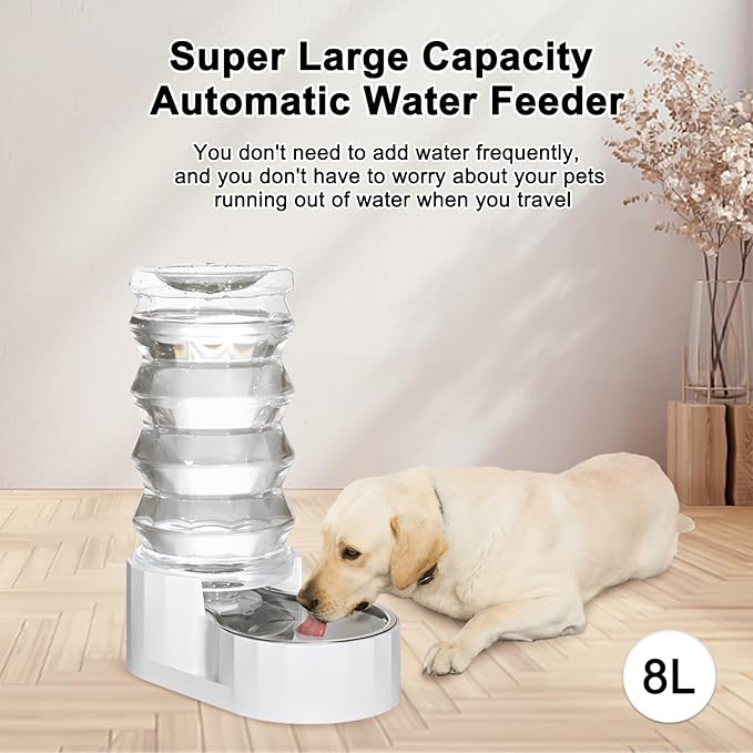 RIZZARI Large Gravity Water Dispenser: 8L Automatic Water Feeder with Stainless Steel Bowl - Two Caps and Filters for 30-60 LB Dogs with Spinal Issues - for Living Room Garage