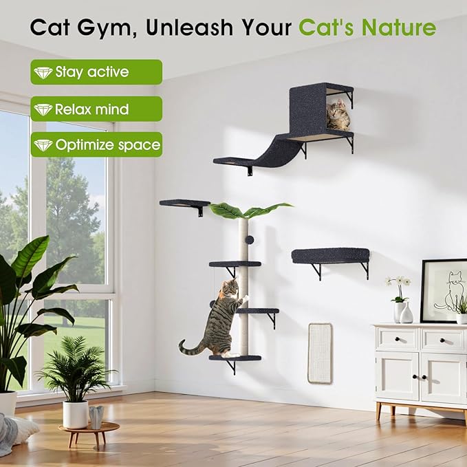 5-in-1 Cat Wall Shelves for 16 Inch Drywall: Space-Saving Wall Mounted Cat Shelves with Climbing, Perch & Lounge