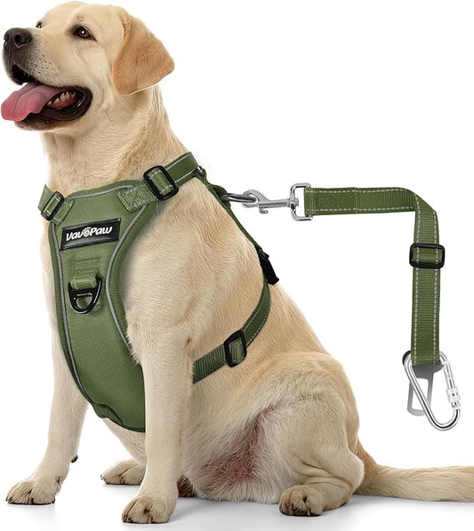 Dog Seat Belt Harness for Car, Dog Car Harness Adjustable Mesh Breathable & Dogs Seatbelt Safety Tether with Elastic Bungee for Small Medium Large Pets(Army Green, XL)