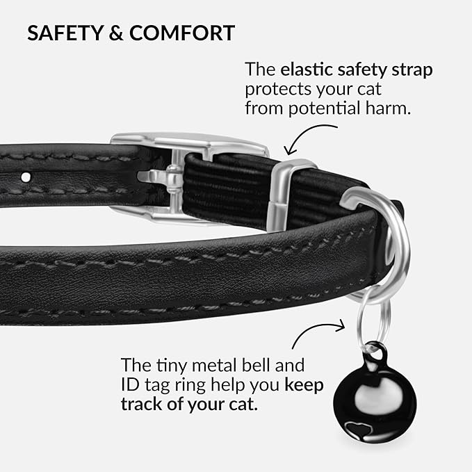 CollarDirect Leather Cat Collar with Bell - Kitten Small and Big Cat Collar for Boy Cats, Girl Cats with Safety Elastic Strap (Neck Fit 6"-7", Black)