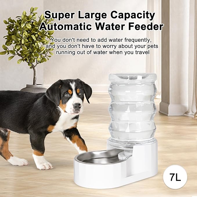 RIZZARI Automatic Gravity Pet Waterer: 7L White Stainless Steel Water Dispenser - Large Capacity with Triple Filter and Specialized Brush for Senior Dogs with Spinal Issues - for Living Room Bedroom