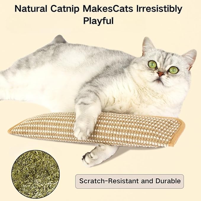 Catnip Toys for Indoor Cats - Cat Toys Pack of 3, Sisal Scratching Pad, Bite Resistant Kitten Teething Toys, Interactive Cat Nip Kicker Toys for Anxiety Relief