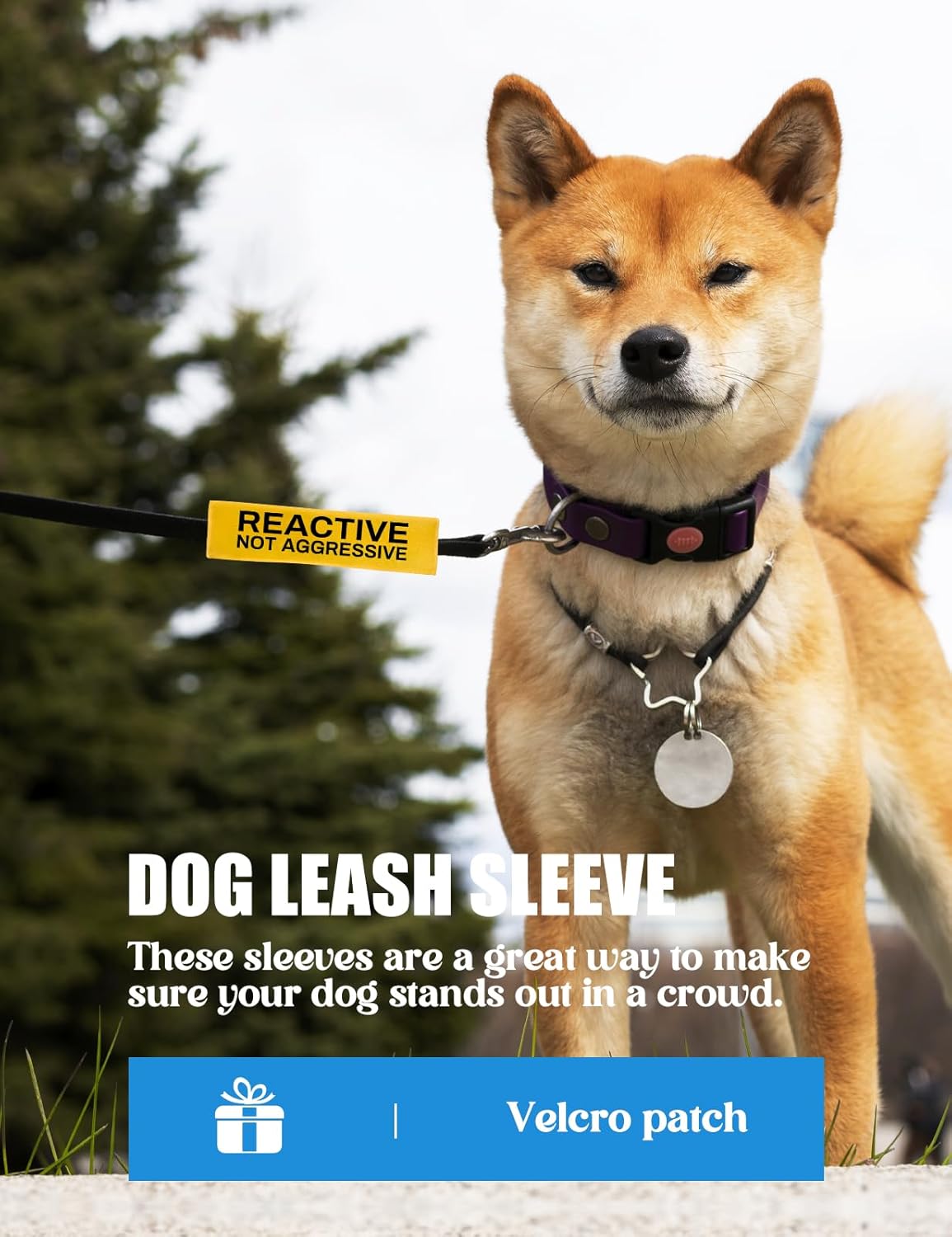Reactive Dog Leash Sleeve - Funny Yellow Wrap with 'Do Not Pet' Patch - Alert Hanging ID Tag - Perfect for Dog Owners