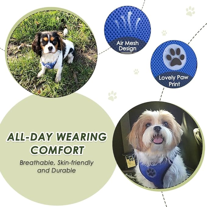 SlowTon Dog Seat Belt Harness for Car, Dog Car Harness Adjustable Mesh Breathable & Dog Seatbelt Safety Tether with Elastic Bungee for Small Medium Large Pets(Blue, Double Clip, XS)