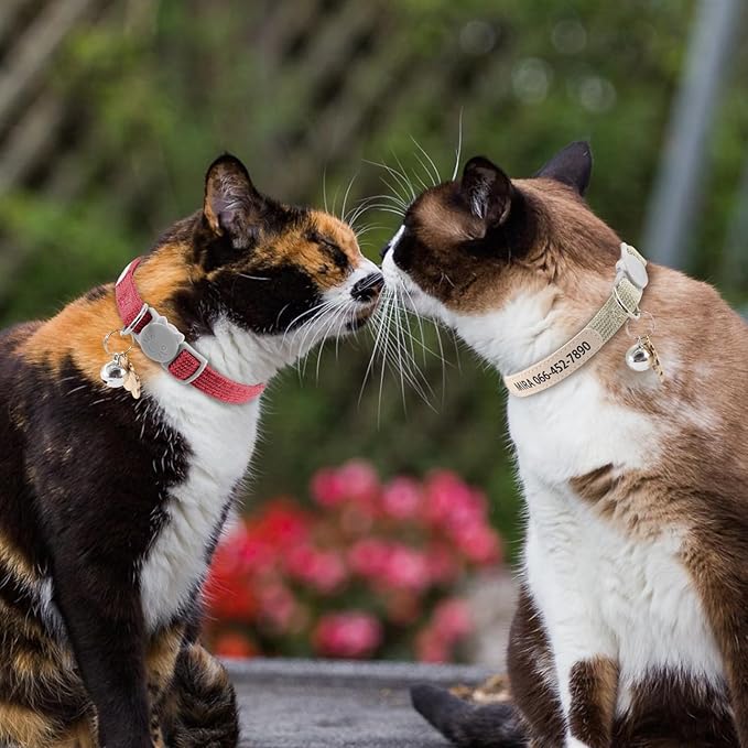 Personalized Cat Collar with Bell - Custom Kitten Breakaway Collars with UV Printed Pet Name and Phone Number Adjustable and Stylish (Corduroy)