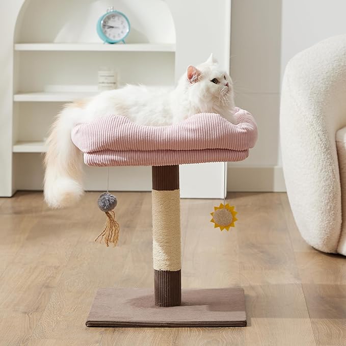 Gardner Pet 20" Cat Tree Corduroy, Solid Wood Small Cat Tree, Removable Cat Bed, Sisal Scratching Post & Hanging Toys, Stable Modern Cat Tower for Kittens & Indoor Cats (Brown, Square-Corduroy)