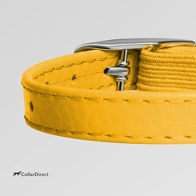 CollarDirect Leather Cat Collar with Removable Bell – Safety Kitten Collar with Elastic Strap (Yellow, 15 - 18 cm)