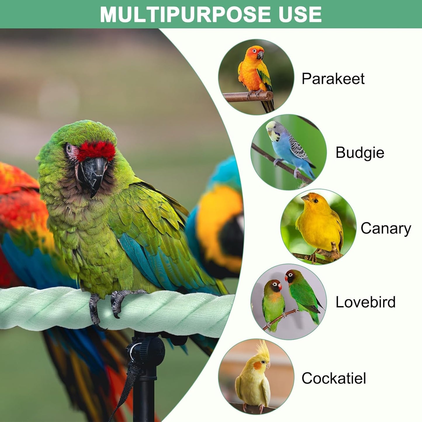 1-Pack Rope Perches for Bird Cages, 31.5 in Length Comfort Grip Flexible Rope Perch Beak & Paw Grinding for Parrots/Cockatiels/Parakeets, Bird Platform Sand [Cyan]