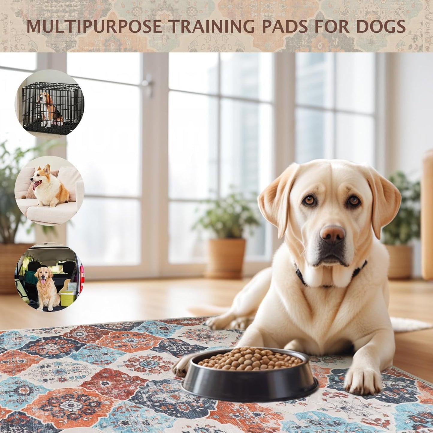 IEUUMLER Washable Pee Pads for Dogs, 2 Pack Reusable Pee Pads for Dogs Non-Slip Grip, Super Absorbent Waterproof Puppy Pads for Potty Training, Playpen, Crate, Whelping Box EU011 (Orange,41" x 41")