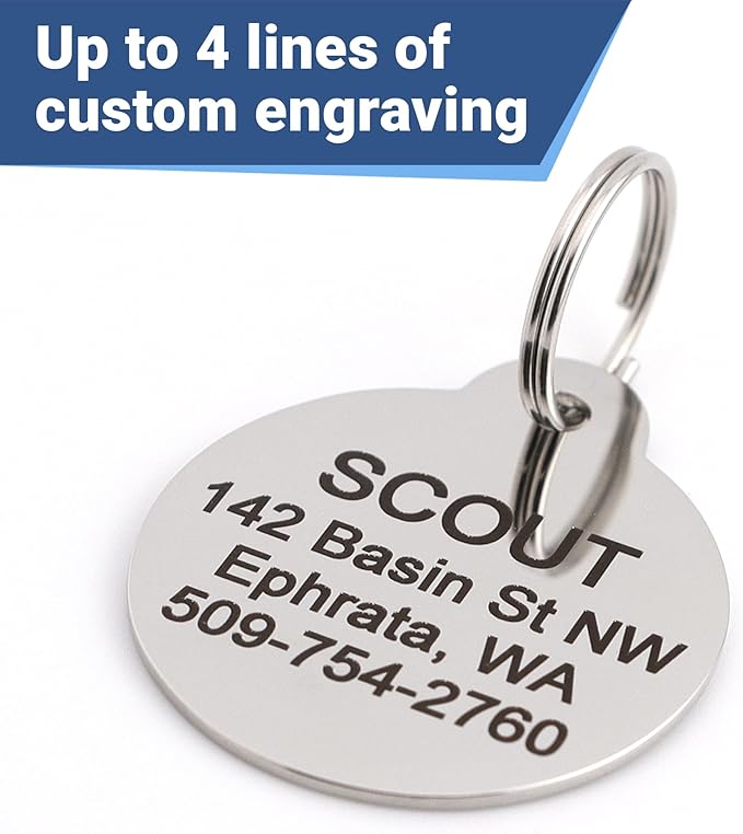 GoTags Paw Print Round Stainless Steel Pet Tag for Dogs and Cats, Personalized with 4 Lines of Custom Engraved ID Name and Number, in Stainless Steel and 15 Colors Small and Large, Glitter Pink