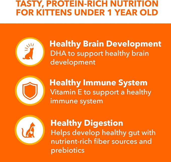 IAMS Perfect Portions Healthy Kitten Grain Free Wet Cat Food Pate, Chicken Recipe, 2.6 oz. Easy Peel Twin-Pack Trays (24 Count, 48 Servings)