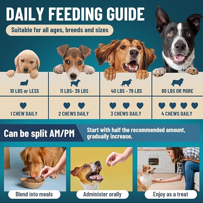 Dog Probiotics for Dogs, 200 Soft Probiotics Chews for Dogs Digestive Health Gut Health & Immune System, with 6 Probiotics & Digestive Enzymes, Support Itchy Skin, Constipation & Diarrhea Relief