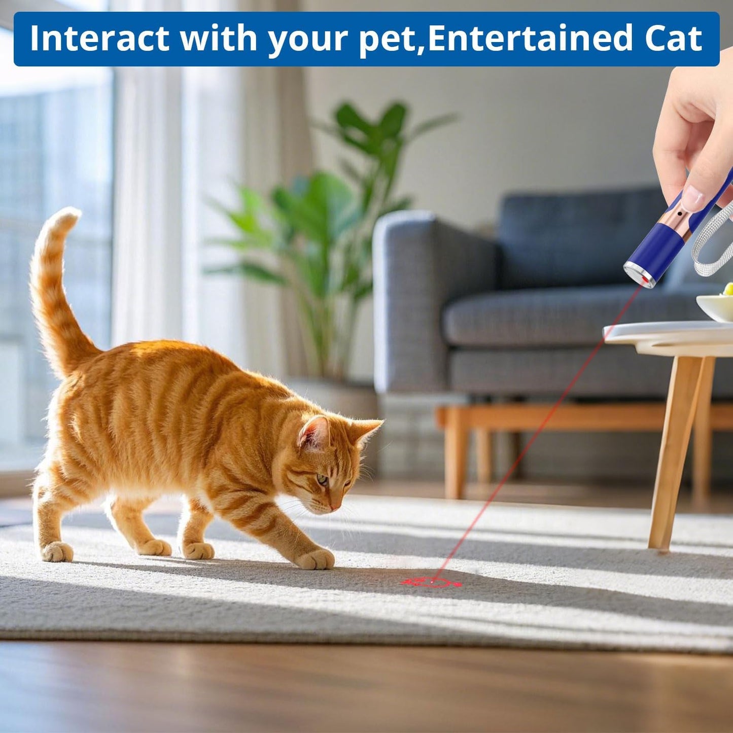 TBTeek Cat Toys for Indoor Cats, 2 Pieces, Rechargeable, 7 Adjustable Patterns, Interactive Kitten Pet Dog Red Dot Chase Light Toy for Cats Fun Playing Exercise（Blue）