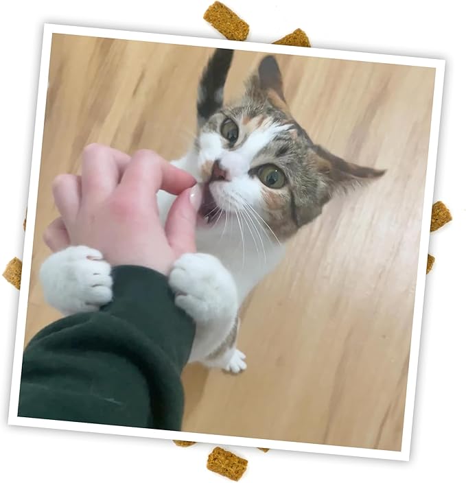 Meowijuana Crunchie Munchie Catnip Treats Bundle | 2 Seafood Medley and 1 Chicken | Made with Organic Catnip | Produced in The USA | Low Calorie Cat Snack