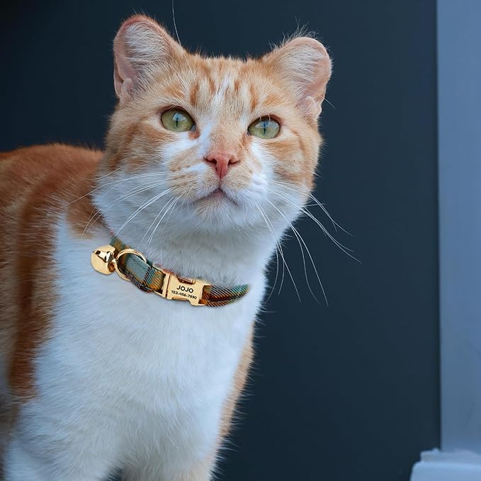 Plaid Polyester Personalized Cat Collar with Name & Owner Phone, Customizable Laser-Engraved, Charming Bell, Metal Buckle for Kittens and Cats - Matching Leash Available (Style-N)