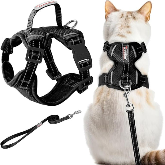 Cat Harness and Leash Set Escape Proof for Kitten Walking, Soft Adjustable Top Handle Vest Harnesses for Cats, Easy Control Breathable Reflective Small Medium Large, Black, M