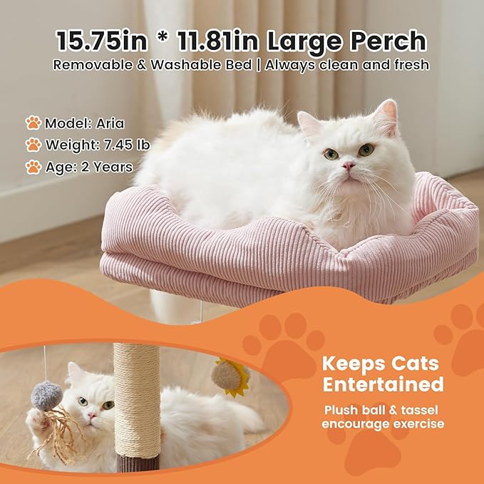 Gardner Pet 20" Cat Tree Corduroy, Solid Wood Small Cat Tree, Removable Cat Bed, Sisal Scratching Post & Hanging Toys, Stable Modern Cat Tower for Kittens & Indoor Cats (Brown, Square-Corduroy)