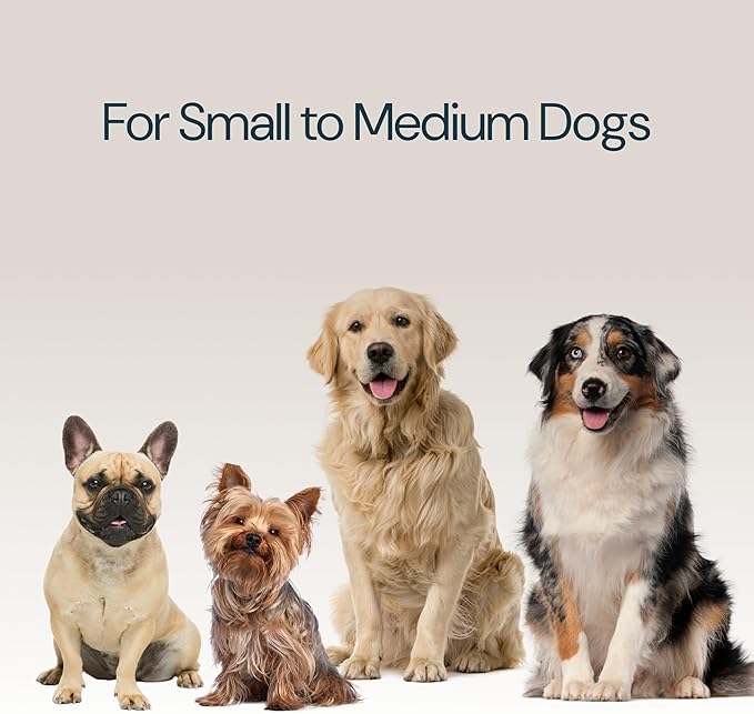 MalsiPree Walking Set with Retractable Dog Leash, Poop Bag Holder, Leak Proof 12 Oz Dog Water Bottle, Flashlight & 20 Poop Bags - 9.8ft Leash Retractable for Small to Medium Pet (Sand & Teal, 12 Oz)