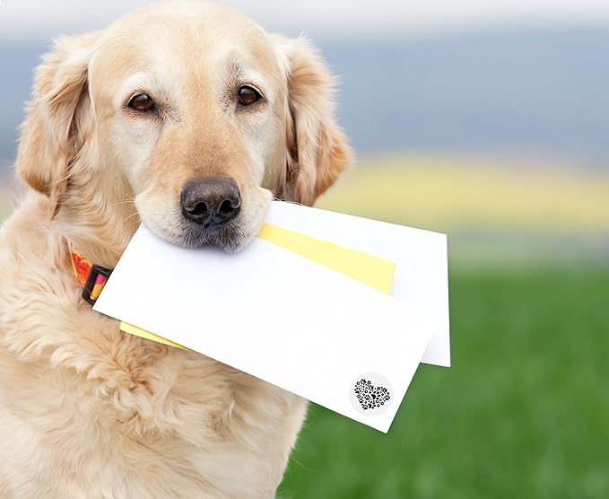 250 Black Paw Print Heart-Shaped Stickers for Animal Causes - Stickers for Pet Lovers, Pet Businesses, Animal Clinics, Labels, Scrapbooks and More!