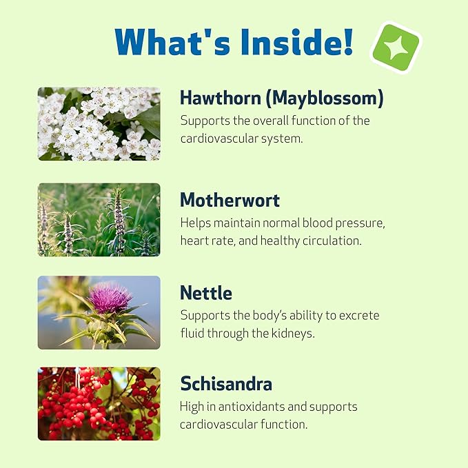 Pet Wellbeing Young at Heart for Dogs - Senior Heart Health Support, Cardiovascular Wellness & Vitality - NASC Certified & Vet-Formulated - 4 oz Liquid Formula