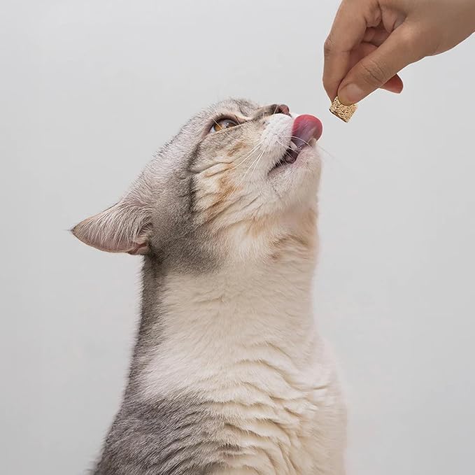 Open Farm, Kitty Cubes, Freeze Dried Raw Cat Treats, Grain-Free, High-Protein Cat Treat with Probiotics, Omega Fatty Acids & Superfoods, Salmon & Mackerel Recipe, 1.5oz Bag