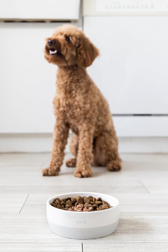 Pearhead Ceramic Bone Appétit Dog Bowl, Holds 2 Cups, Stoneware Food and Water Dish, Microwave and Dishwasher Safe, Small/Medium