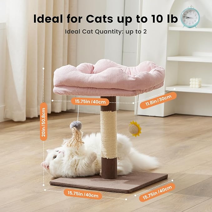 Gardner Pet 20" Cat Tree Corduroy, Solid Wood Small Cat Tree, Removable Cat Bed, Sisal Scratching Post & Hanging Toys, Stable Modern Cat Tower for Kittens & Indoor Cats (Brown, Square-Corduroy)