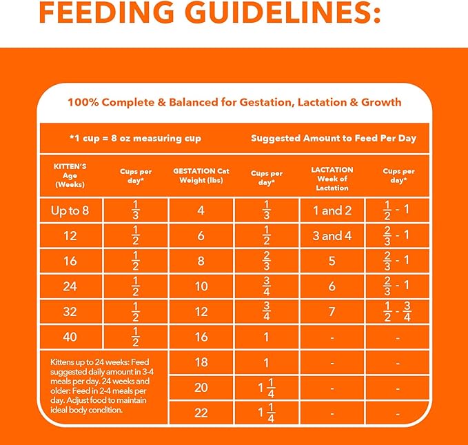 IAMS Proactive Health Healthy Kitten Dry Cat Food with Chicken, 7 lb. Bag