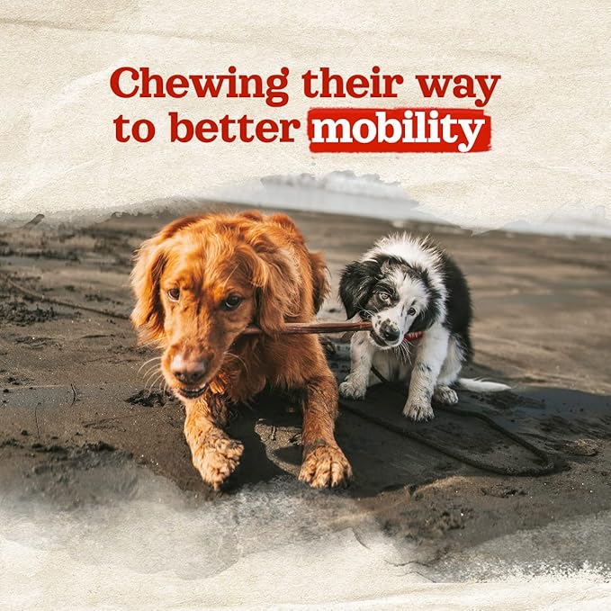 Natural Farm Odor-Free Bully Coated Gourmet Collagen Sticks (6 Inch, 10 Pack), Real Bully Beef Coated, 95% Natural Collagen, Supports Healthy Joints, Skin & Coat - Best for Small & Medium Dogs