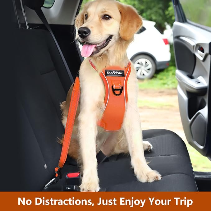 Dog Seat Belt Harness for Car, Dog Car Harness Adjustable Mesh Breathable & Dogs Seatbelt Safety Tether with Elastic Bungee for Small Medium Large Pets(Orange, L)