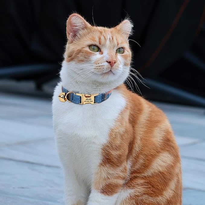 Plaid Polyester Personalized Cat Collar with Name & Owner Phone, Customizable Laser-Engraved, Charming Bell, Metal Buckle for Kittens and Cats - Matching Leash Available (Style-G)