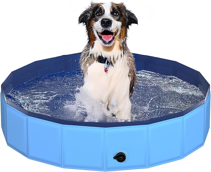 39.5" x 12" Foldable Dog Pool - Collapsible Hard Plastic Kiddie Pool for Dogs & Kids, Non-Slip Pet Bath Tub for Outdoor Backyard Use, Lightweight & Portable (Blue)