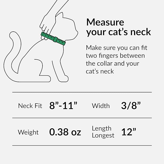 CollarDirect Leather Cat Collar with Bell - Kitten Collar, Small and Big Cat Strap for Boy Cats, Girl Cats with Safety Elastic Strap (Neck Fit 8"-11", Orange)