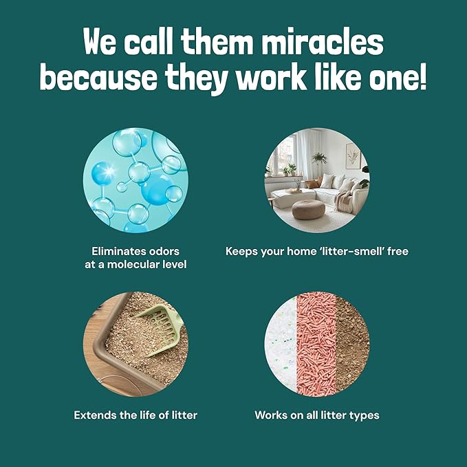 Sunny & Honey Cat Litter Deodorizer Spray - 32 fl oz, 1 Pack, Unscented - Source-Targeted Freshness & Litter Box Cleaner - Enzyme Cat Pee Cleaner - Fragrance-Free Deodorizer