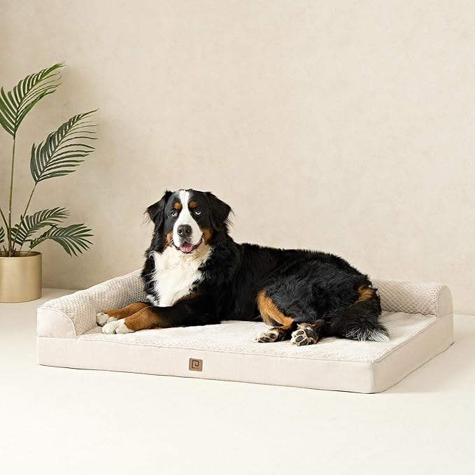 EHEYCIGA Memory Foam Dog Bed XXL, Giant Dog Bed Orthopedic with Washable Removable Cover, Waterproof Pet Bed Couch for Jumbo Dogs, 48x36x7 Inches, Beige