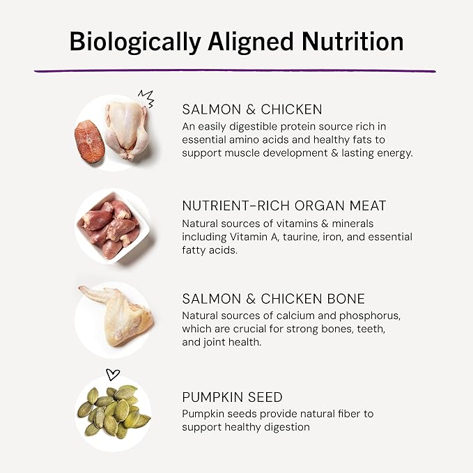 Stella & Chewy's Freeze-Dried Raw Cat Dinner Morsels - Premium Salmon & Chicken Recipe with 98% Wild-Caught & Cage-Free Protein - Natural Grain-Free Cat & Kitten Food - Made in USA - 8 oz