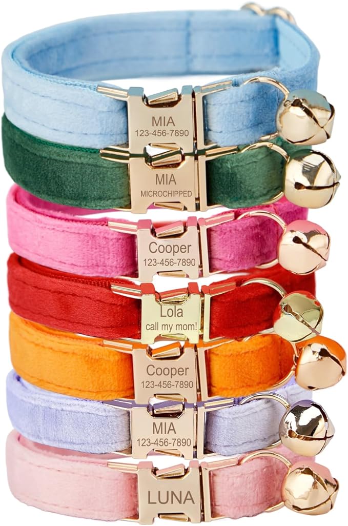 Personalized Cat Collar with Engraved Buckle – Custom Adjustable Kitten Collar with Bell, Choose Buckle Color or Breakaway Safety Design (Velvet)