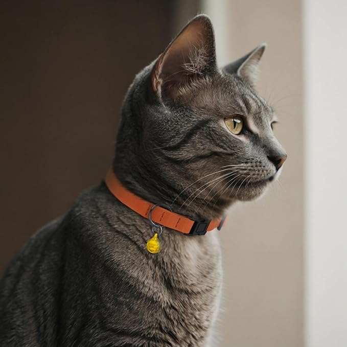 Breakaway Cat Collar Leather with Removable Bell - 13 Colors Available - Soft Adjustable Girl Boy Safety Lightweight Pet Kitten Collars Pink Brown Blue Green Red Orange Black (Aquamarine)