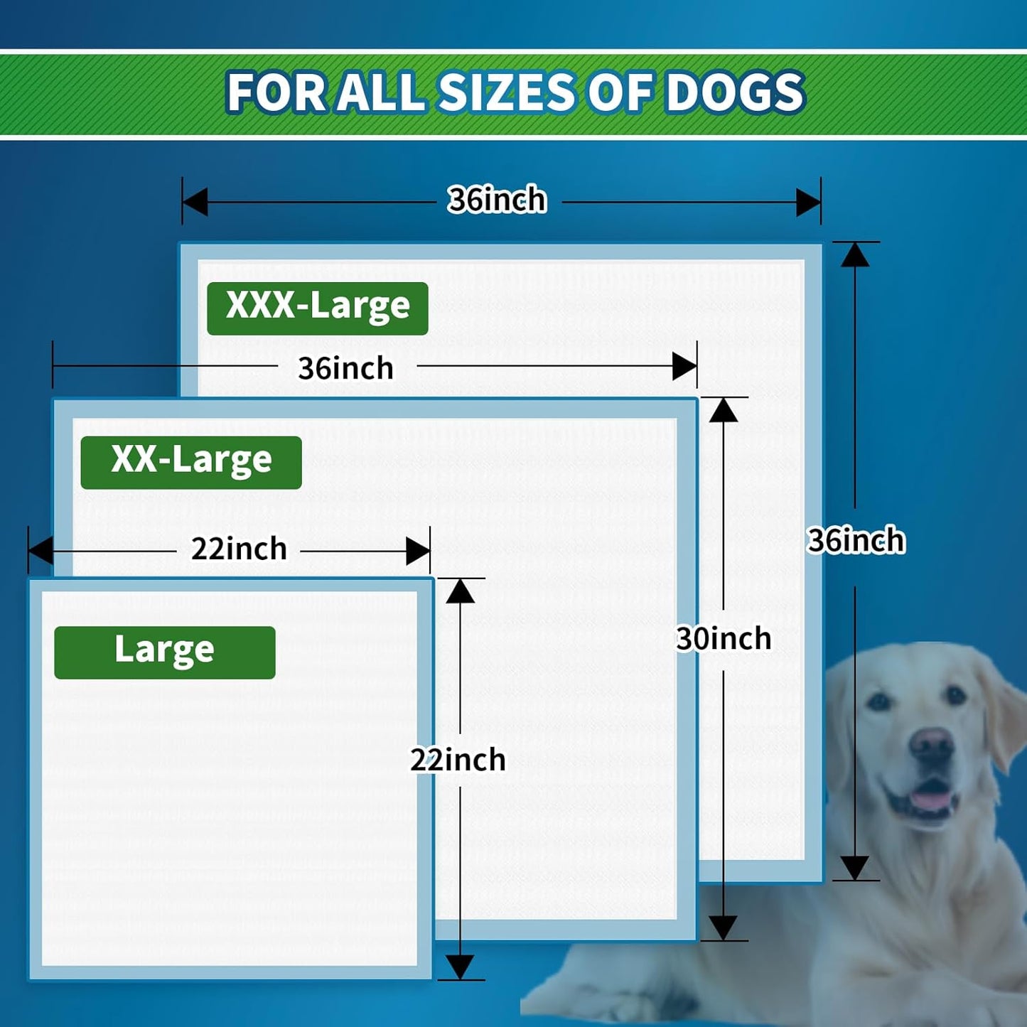 Pee Pads for Dogs Large 30”x 36”, 50 Count Puppy Pads Pet Training Pads Disposable Upgraded Odor Control, Potty Pads Absorbent