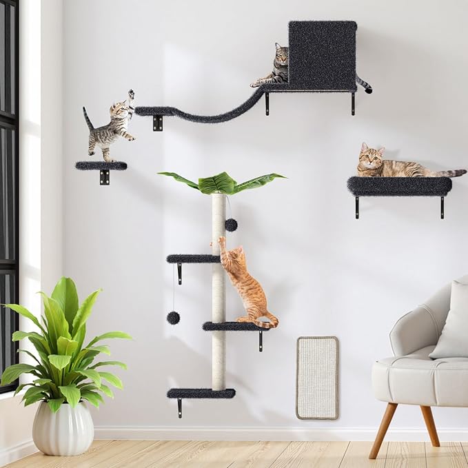 5-in-1 Cat Wall Shelves for 16 Inch Drywall: Space-Saving Wall Mounted Cat Shelves with Climbing, Perch & Lounge