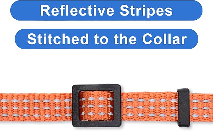 Pawtitas Reflective Orange Cat Collar with Safety Buckle and Removable Bell for Kitten and Cats