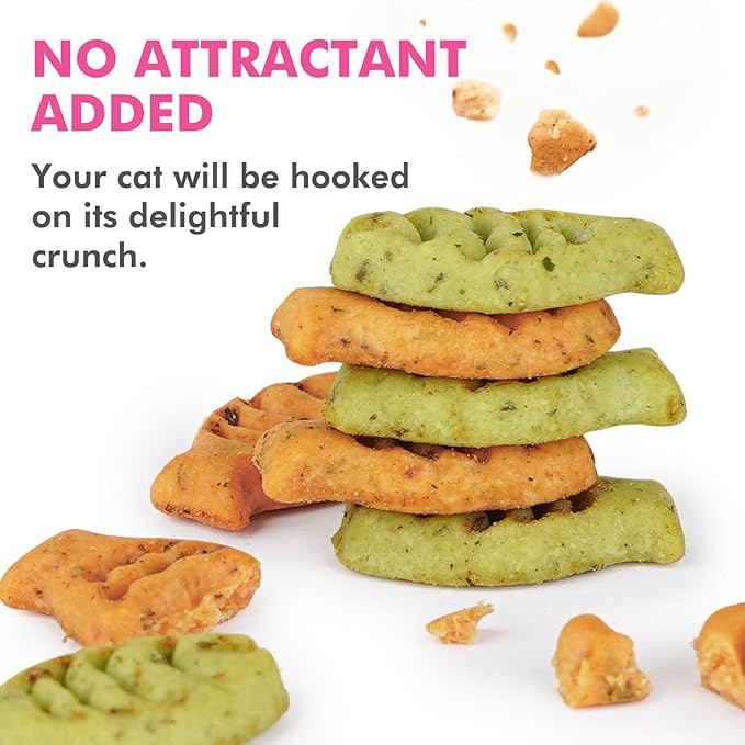 Catnip Cat Treats, Chicken and Salmon Flavor Cat Snacks, Training Biscuits Treats for Cats, Crunchy Fish Shape Adult Cat Biscuits, 16 oz