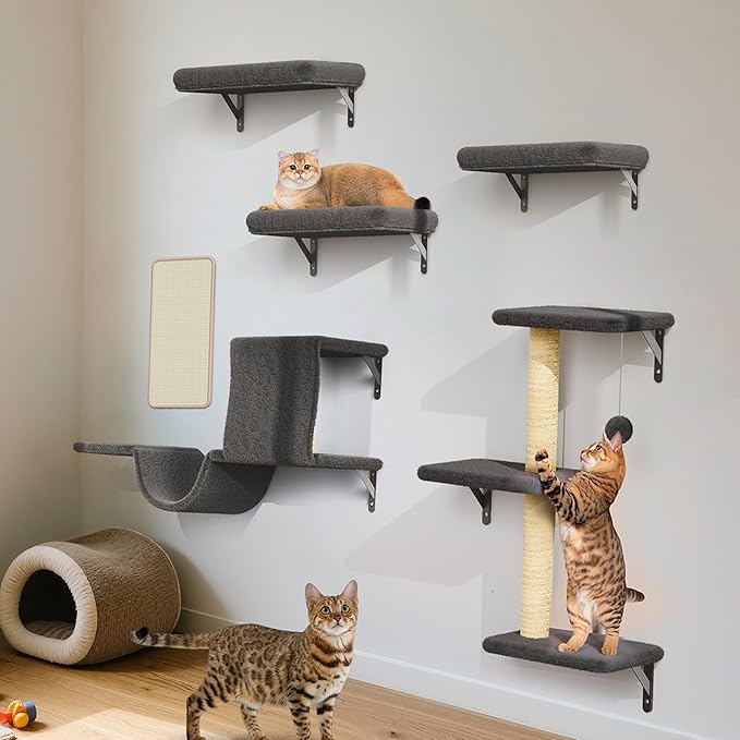 6-in-1 Wall Mounted Cat Climber Set for Heavy Cats,Wall Shelves,Stable & Safe Cat Furniture Set for Large Cats, Wooden Climbing Wall with Scratching Post(Black)